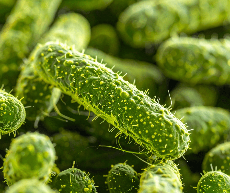 Prevención y Control